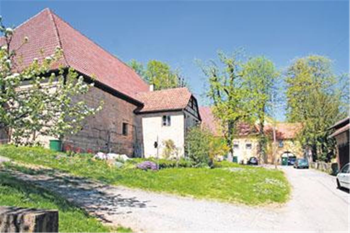 Die Kelter in Mühlhausen (li.) liegt in direkter Nachbarschaft der Schlossanlage, deren Besitzer Roland Rauschmayer sich in dem Keltergemäuer gut ein Weinmuseum vorstellen kann. Die Wengerter aus dem Ort dagegen möchten den Kelterbetrieb auf jeden Fall gesichert wissen. Mit einer kombinierten Nutzung  Museum und Kelter  können sie sich auf Anhieb nur schwer anfreunden. 
Foto: Disselhoff