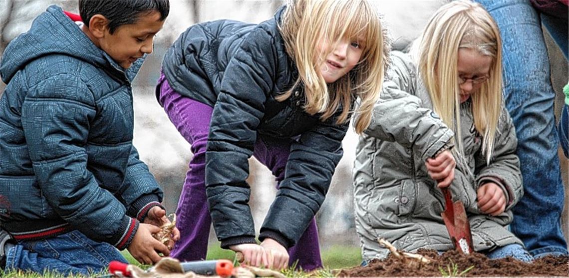 Die Kinder von der Uhlandschule sind schon jetzt gespannt, wie ihr gepflanztes Blumenbeet im Frühjahr aussehen wird. 