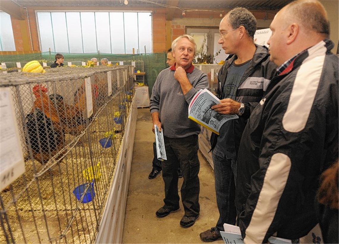Die Kombination aus Lokal- und Sonderschau lockt viele Fachbesucher an.