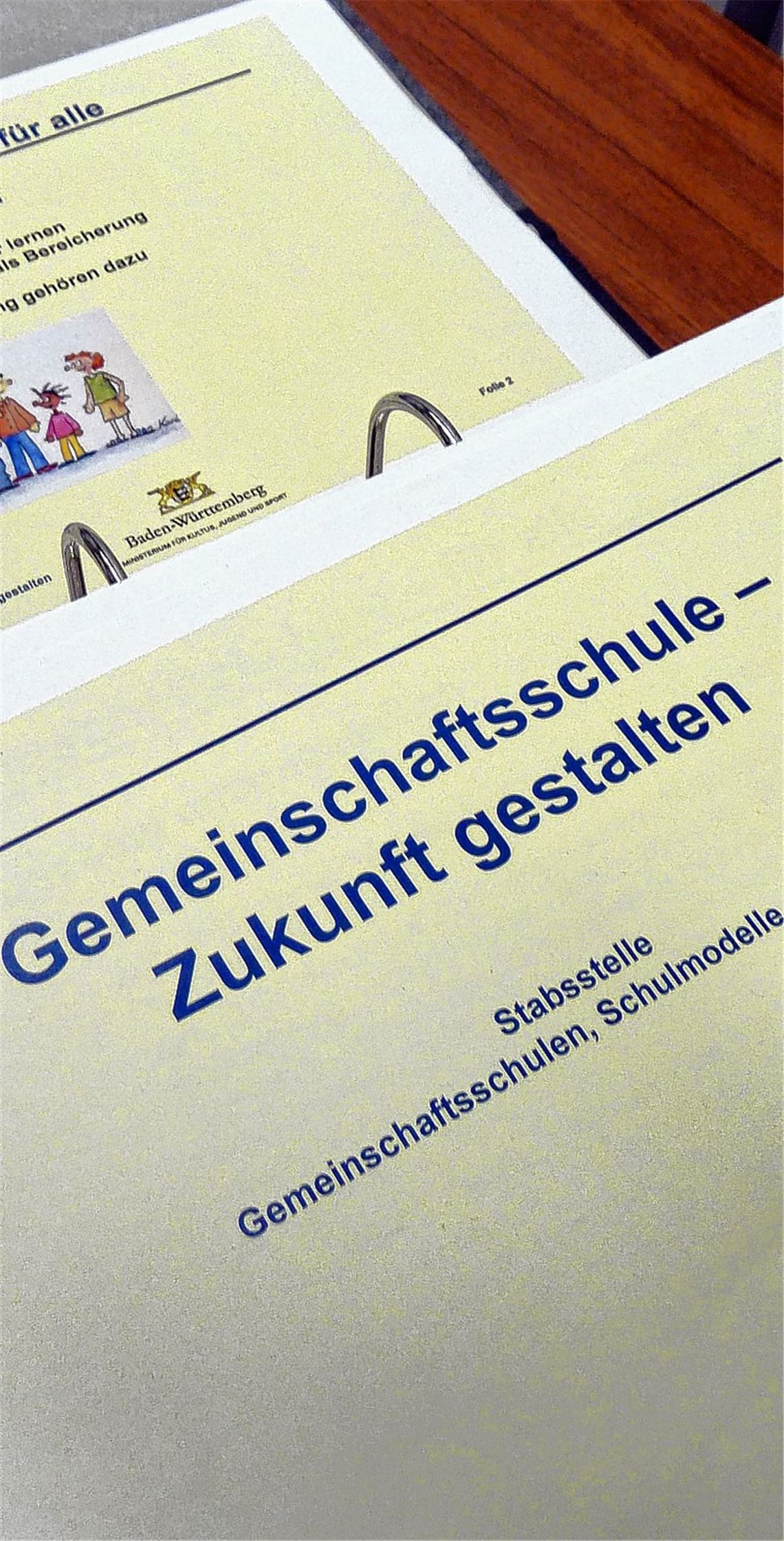 Die Konzepte stehen, die Anträge sind bewilligt, die Anmeldezahlen passen – jetzt gilt es für die drei Gemeinschaftsschulen im Raum Mühlacker, ihre Zukunft zu gestalten.