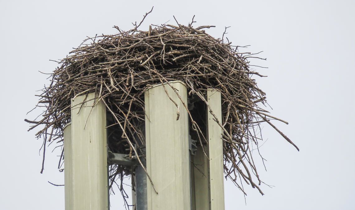Die Lage am Ortsrand von Dürrmenz passt: In der obersten Etage bietet sich ein großartiger Ausblick auf die Stadt. Was könnten sich Storchen-Mieter mehr wünschen? Fotos: Becker
