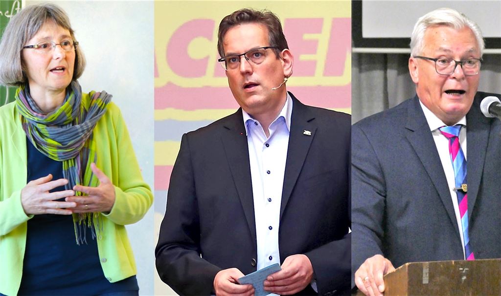 Die Landtags-Abgeordneten Stefanie Seemann, Erik Schweickert und Bernd Gögel äußern sich im Interview zu aktuellen Themen. Foto: Archiv, MT