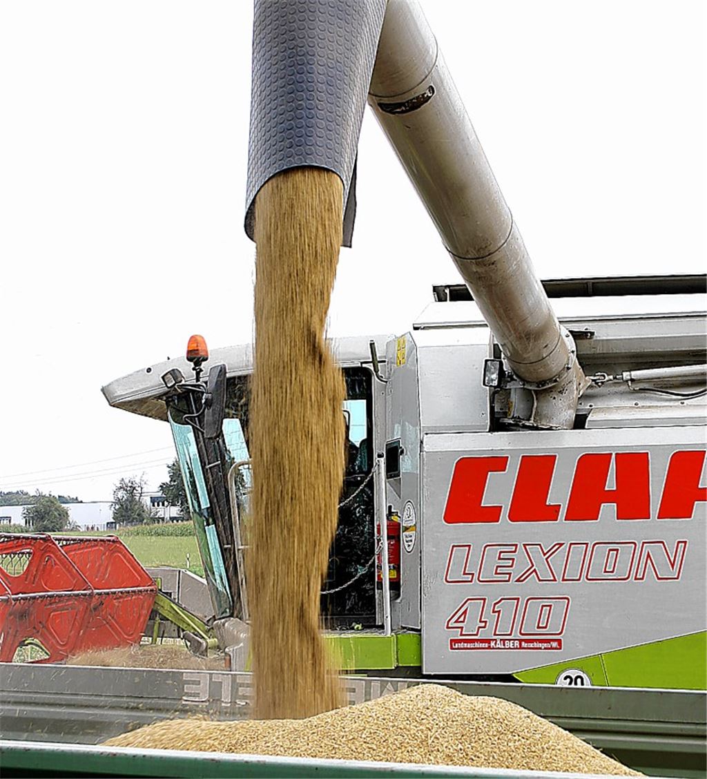 Die Landwirtschaft in der Region Nordschwarzwald soll auch künftig ausreichend Flächen zur Sicherung der Ernährungsgrundlagen der Bevölkerung wie auch ihrer eigenen Existenz haben. Die Basis hierfür soll ein Teilregionalplan schaffen.Foto: Kollros