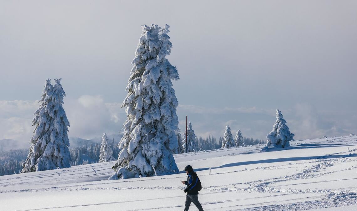 Die Lawinengefahr auf dem Feldberg ist aus Sicht der Bergwacht Schwarzwald gebannt. (Symbolbild)