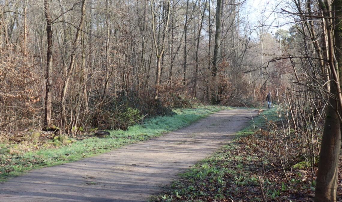 Die Leiche der 19-Jährige war vergangene Woche Mittwoch in einem Naherholungsgebiet bei Mannheim entdeckt worden. (Archivbild)