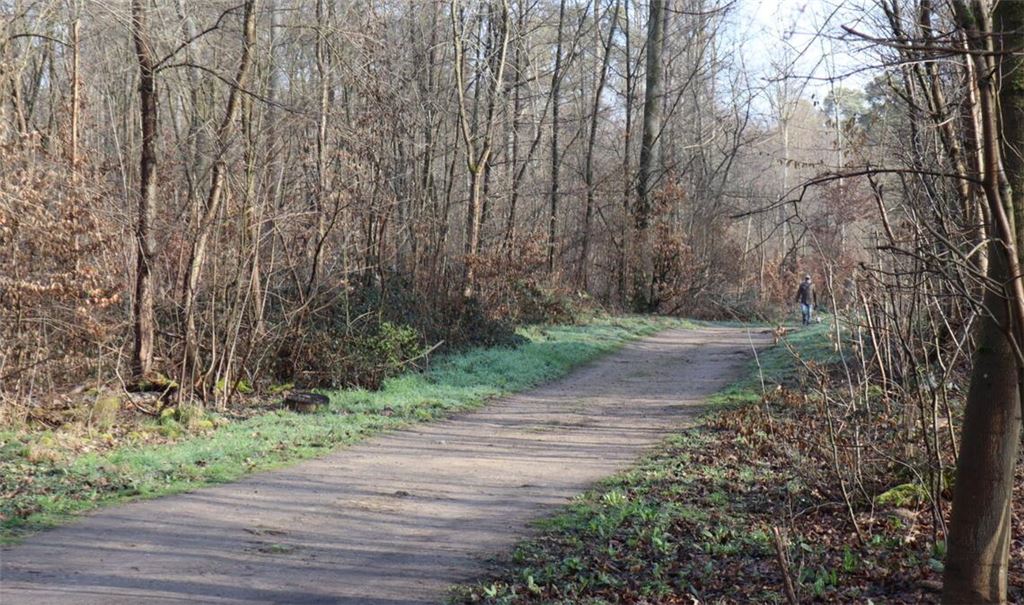 Die Leiche der 19-Jährige war vergangene Woche Mittwoch in einem Naherholungsgebiet bei Mannheim entdeckt worden. (Archivbild)