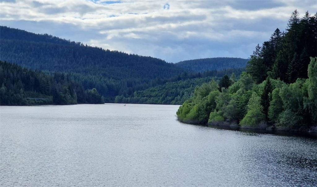 Die Leiche einer Frau haben Passanten in der Schwarzenbachtalsperre bei Forbach entdeckt. (Archivbild)