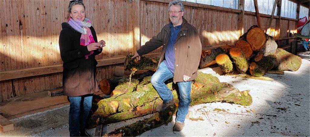 Aus Friedenslinde soll Kunst werden