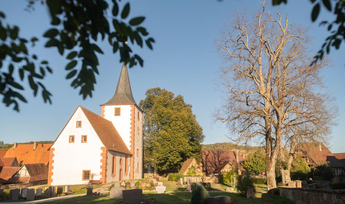 Die Linden am Friedhof in Diefenbach haben für eine Kontroverse im Gemeinderat gesorgt. Foto: Fotomoment