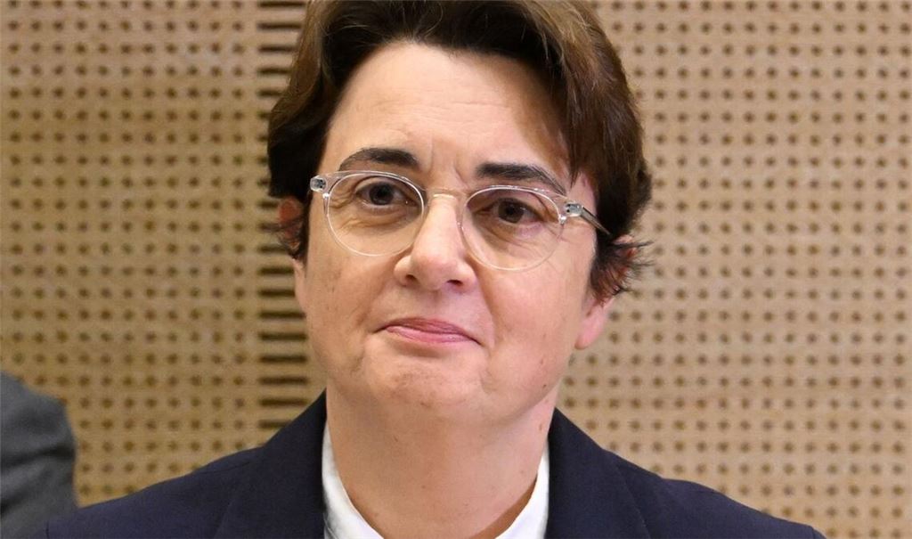 Die Louvre-Präsidentin wurde nach dem Juwelendiebstahl im Museum vor dem französischen Senat befragt.