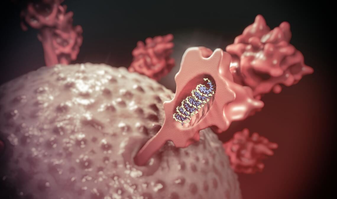 Die Medizin nutzt mRNA-basierte Arzneimittel für Impfstoffe, Gen- und Zelltherapeutika – hochwirksame Arzneimittel gegen Infektions- und Erbkrankheiten und gegen Krebs.