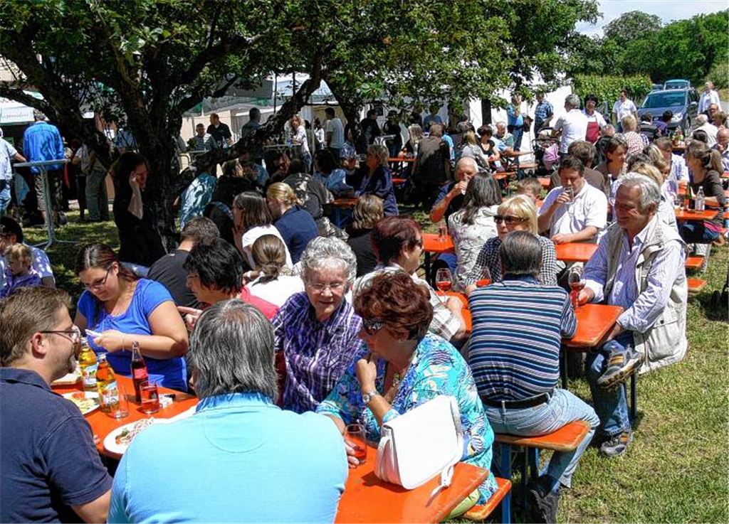 Die Mitglieder der WG Sternenfels feiern mit vielen Gästen ihr Kelterfest. Weinguide Marcus Werner (re.) führt durch die Sternenfelser Reblagen.