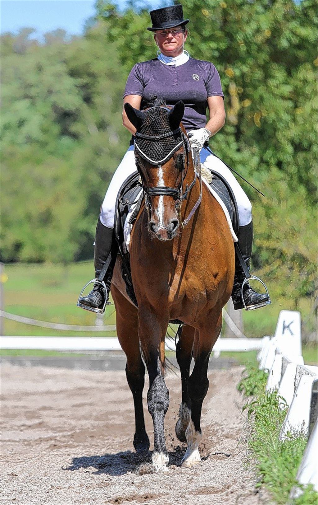 Vor dem letzten Aufgalopp