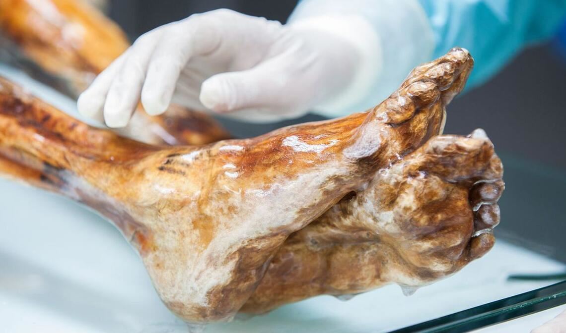 Die Mumie des Ötzi wird in einer speziell entwickelten Kühlzelle bei minus 6 Grad und 99 Prozent Luftfeuchtigkeit gelagert und regelmäßig mit Wasser besprüht, um einem möglichen Feuchtigkeitsverlust entgegenzuwirken.