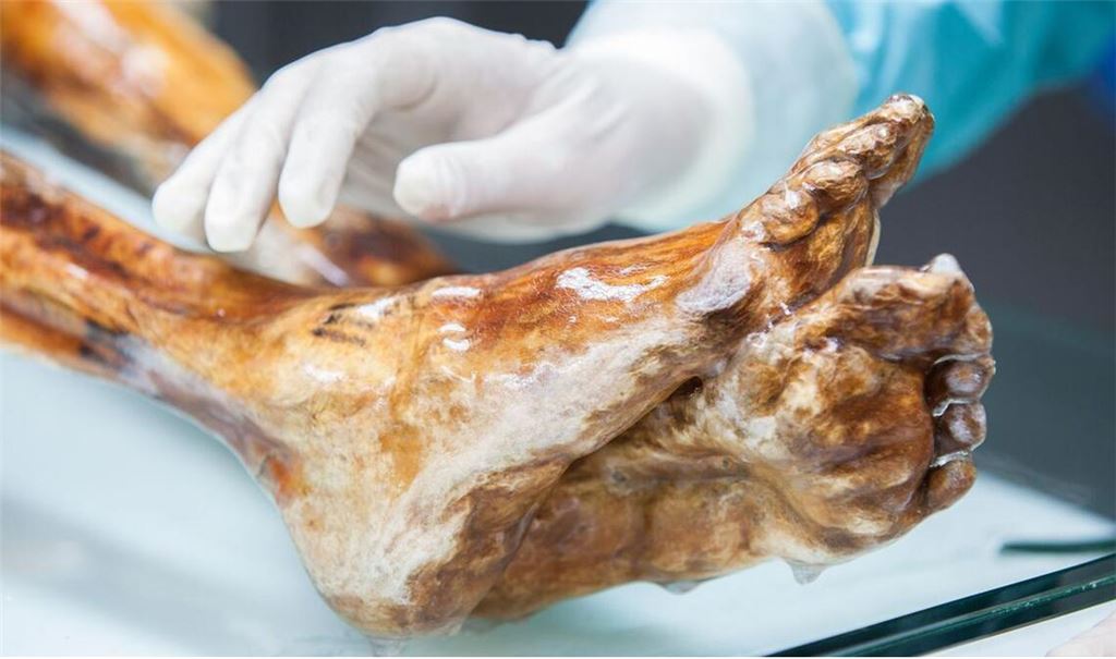 Die Mumie des Ötzi wird in einer speziell entwickelten Kühlzelle bei minus 6 Grad und 99 Prozent Luftfeuchtigkeit gelagert und regelmäßig mit Wasser besprüht, um einem möglichen Feuchtigkeitsverlust entgegenzuwirken.