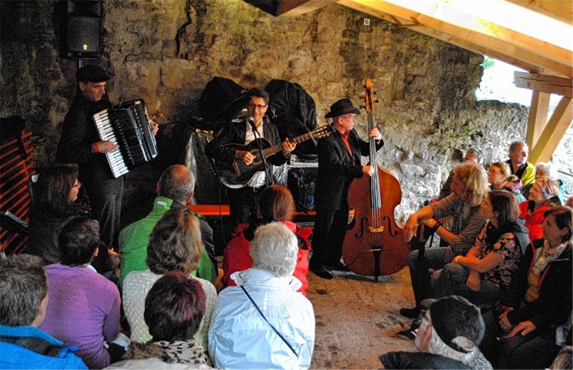 Die Musiker von „Le Trio For me-dable“ bringen am Samstag trotz des Regenwetters die sommerliche Leichtigkeit zurück.Foto: Stahlfeld