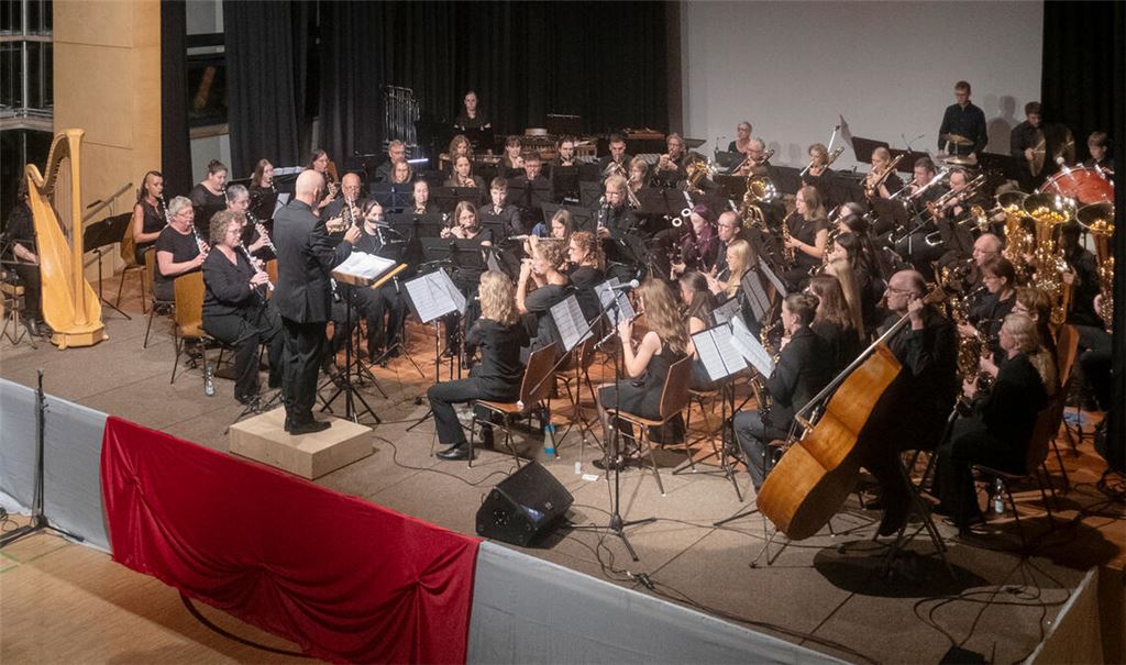 Die Musikerinnen und Musiker des MV Freudenstein geben ein besonderes Themenkonzert. Foto: Fotomoment