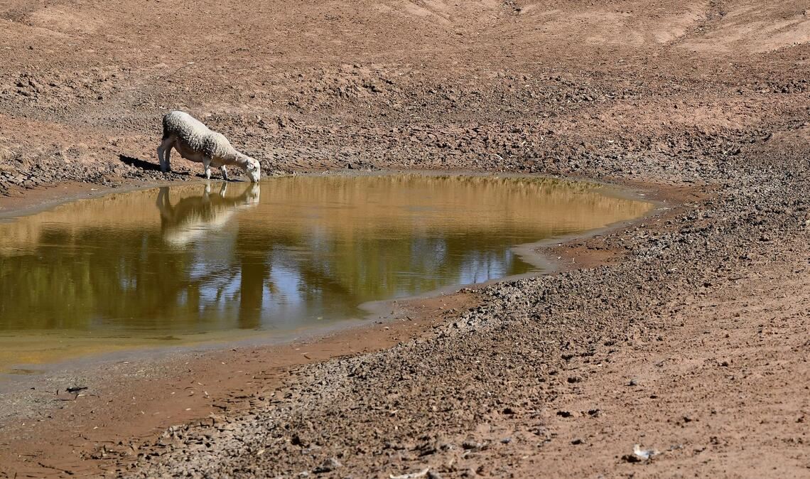 Die NOAA hat den Beginn von El Niño verkündet. (Symbolbild)