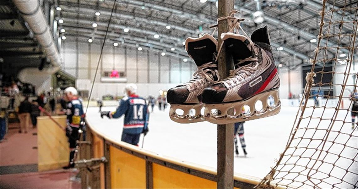 Bisons und Hobby-Eisläufer können aufatmen