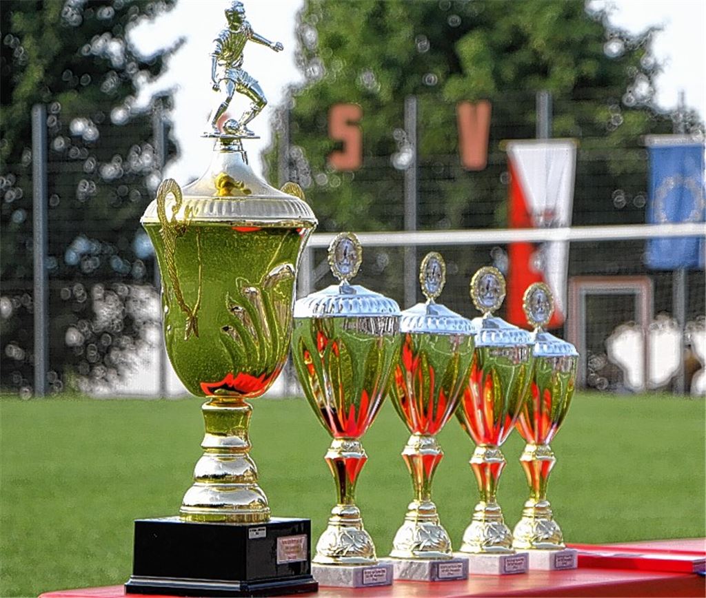 Die Pokale sind poliert, das 31. Internationale Wiernsheimer Pfingstturnier kann beginnen.