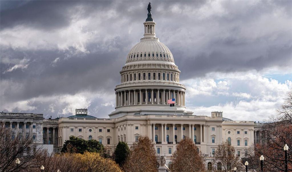 Die Polizei hat einen Mann festgenommen, der mit einer Schusswaffe auf das US-Parlament zugerannt ist (Symbolfoto).