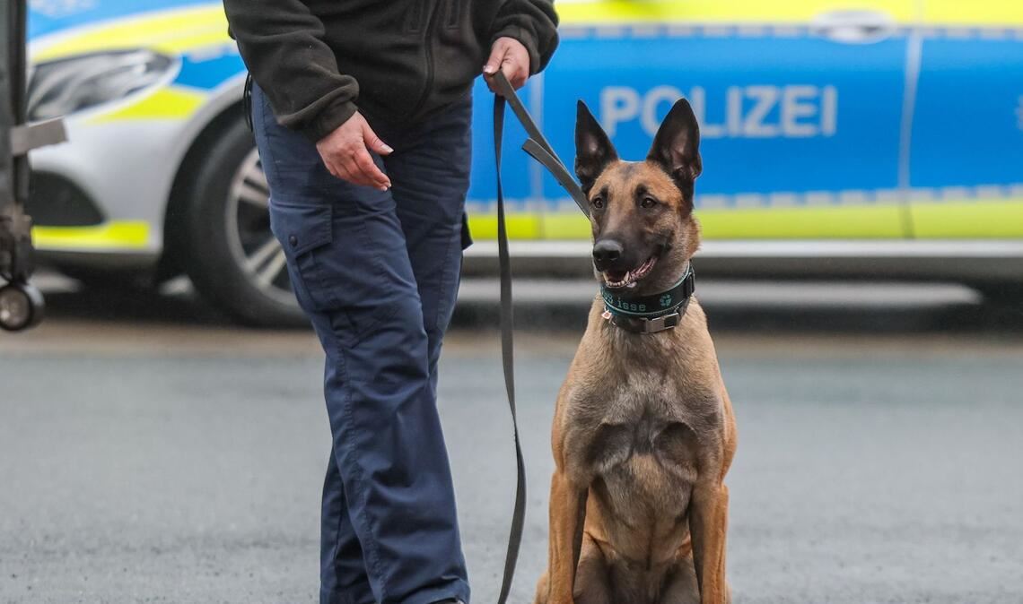 Die Polizei ist auch mit Hunden im Einsatz. (Symbolfoto)