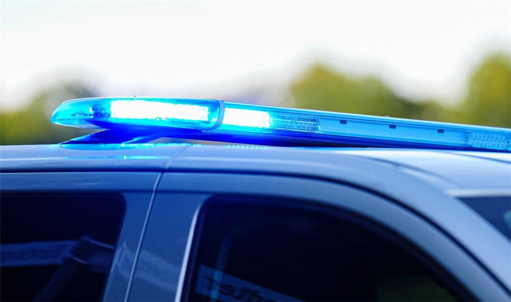 Die Polizei sucht nach einem Unbekannten, der eine Katze zwischen Tomatenranken in Dettingen im Kreis Reutlingen erhängt haben soll (Archivbild).