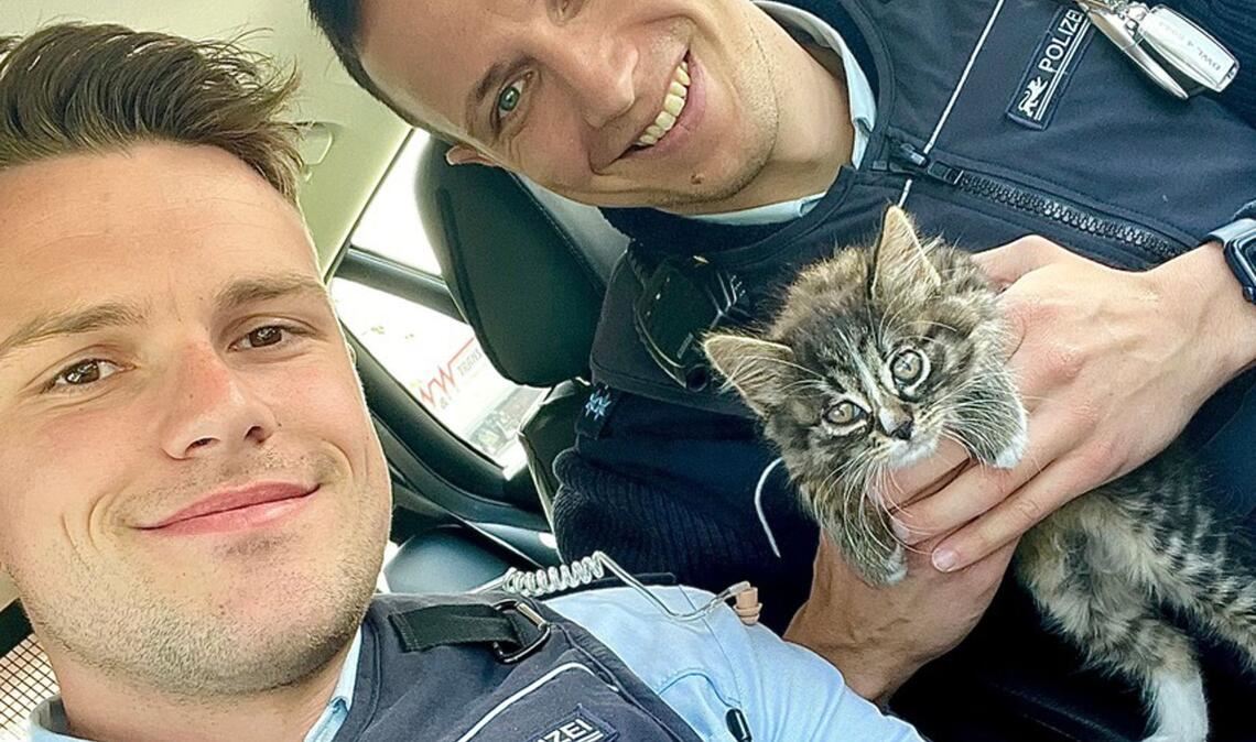 Die Polizisten übergaben die Katze dem Tierschutzverein Achern.