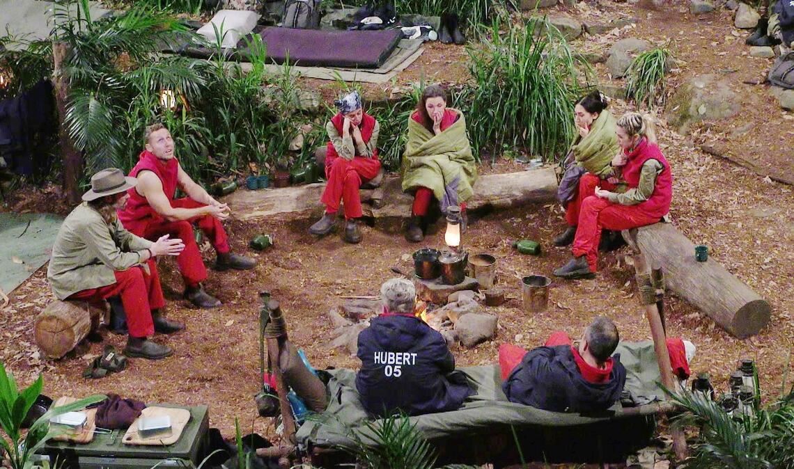 Die Promis im „Dschungelcamp“ von RTL kämpfen um 100.000 Euro Preisgeld – gewinnen kann nur einer.