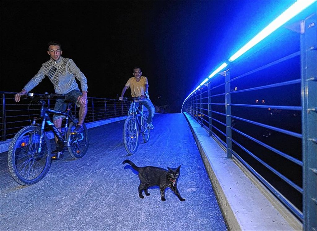 Die Radler freuen und die Katze wundert sich: Der sanierte Waldensersteg präsentiert sich zumindest auf einer Seite hell beleuchtet.
