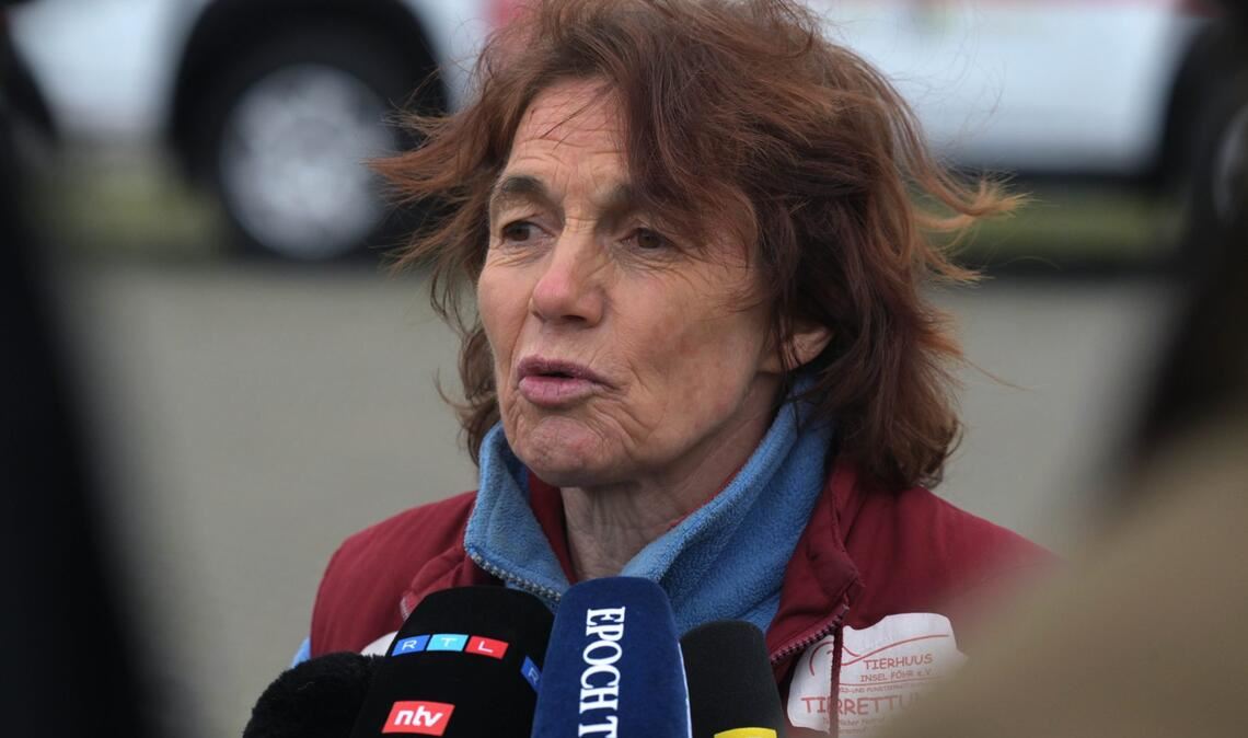 Die Rettung des gestrandeten Buckelwals in der Ostsee wird von einem dramatischen Notfall überschattet: Tierärztin Janine Bahr-van Gemmert musste ins Krankenhaus geflogen werden. Was steckt dahinter?