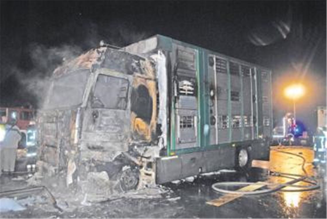 Die Rinder im Aufbau der Zugmaschine überleben den Brand nicht. Foto: Myroshnichenko