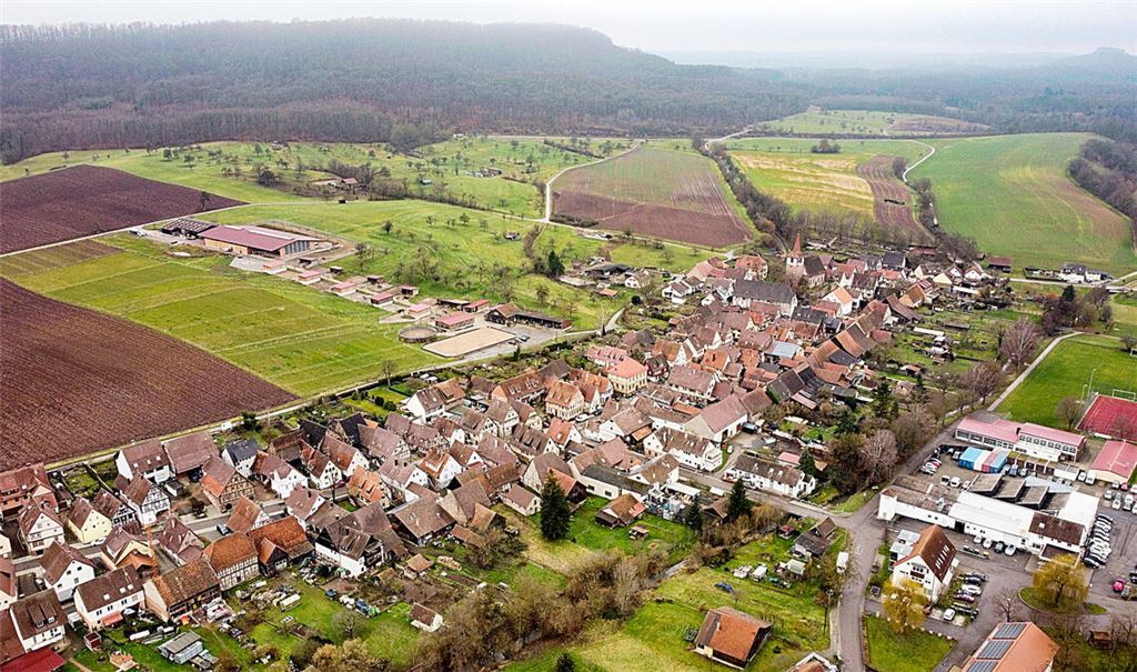 Die Ruhe vor dem Besucheransturm: Im beschaulichen Schützingen – zwischen Weinbergen und Wäldern – steppt am Wochenende der Bär. Foto: Archiv/Schramm