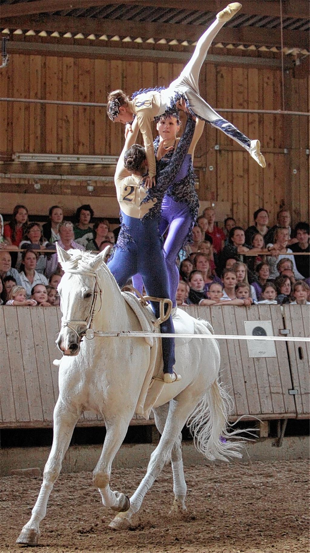 Die S-Gruppe von Pegasus Mühlacker hat in den vergangenen Jahren viele Erfolge auf dem 1998 geborenen Schimmel Captain Kirk (im Bild) gefeiert. Nun soll es auf Abenteuer klappen. Archivfoto: Eigner