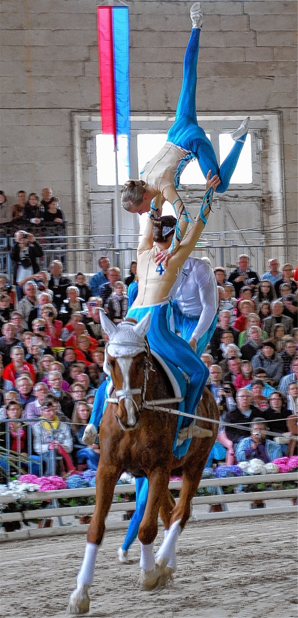Die S-Gruppe von Pegasus Mühlacker, hier auf Ikarus beim Turnier in Saumur (Frankreich) im April, gehört zu den besten Voltigier-Teams in ganz Deutschland. Archivfoto: privat
