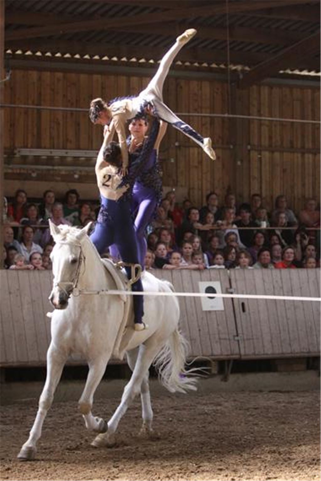 Die S-Gruppe von Pegasus Mühlacker zeigt die mit Abstand schwierigste Kür. Foto: Eigner