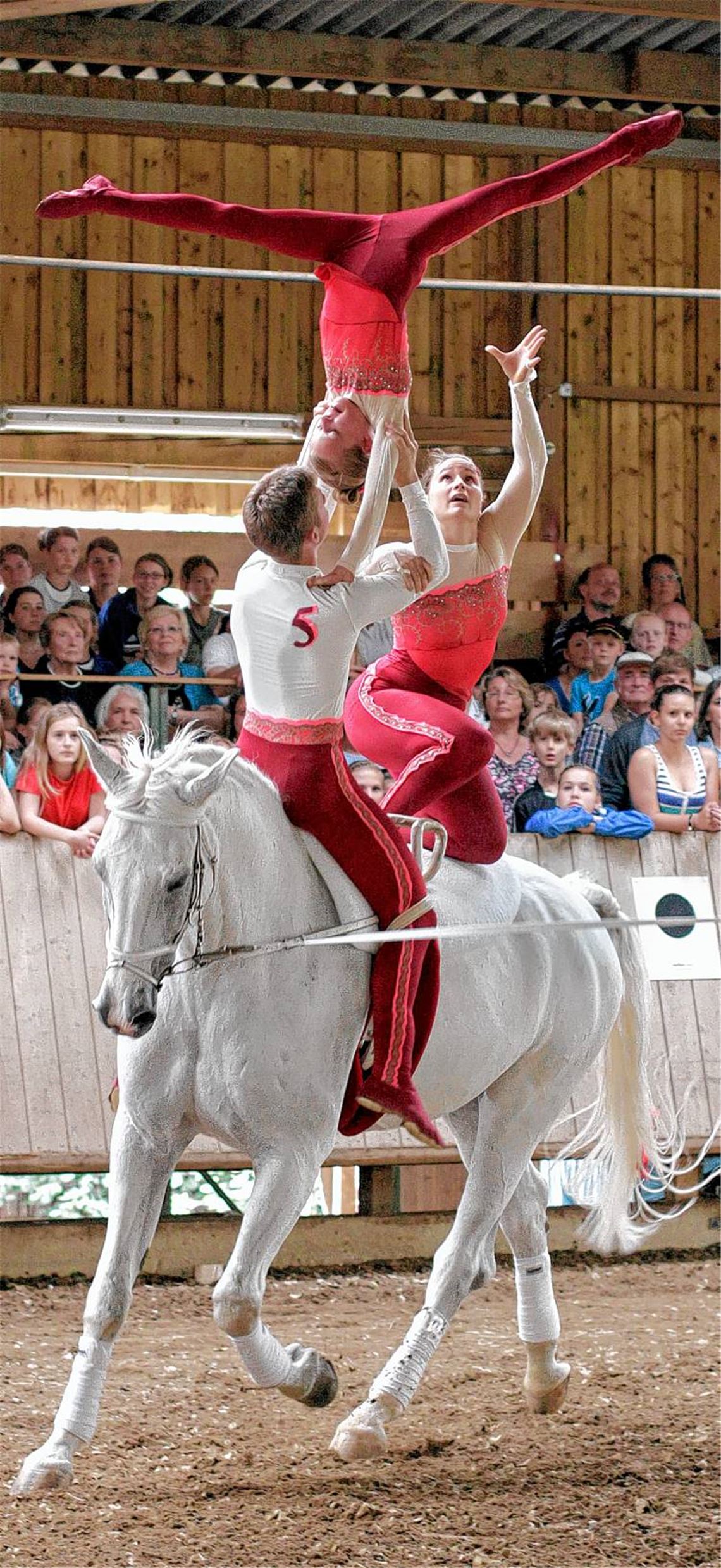 Die S-Gruppe von Pegasus auf Captain Kirk hat die DM-Qualifikation bereits geschafft. Foto: Keller