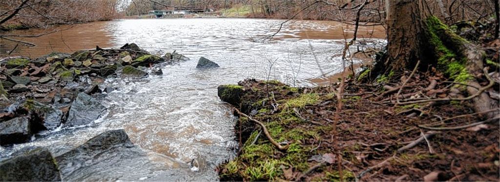 Die Salzach, die den Badespaß im Maulbronner Naturfreibad garantiert, spült neben frischem Wasser auch Nährstoffe wie etwa Phosphat in den See, der dadurch auf lange Sicht zu verschlammen droht. Die Stadtverwaltung und der Gemeinderat wollen die schleichende Verlandung stoppen, was unter Umständen sehr teuer werden kann.