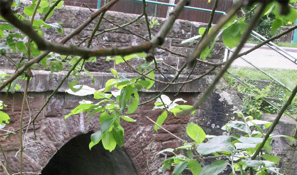 Die Salzach, die unter dem MWK-Areal fließt, soll im Zuge der Belebung der Industriebrache mit Wohnungen und Gewerbe ans Licht geholt werden. Archivfoto: Goertz