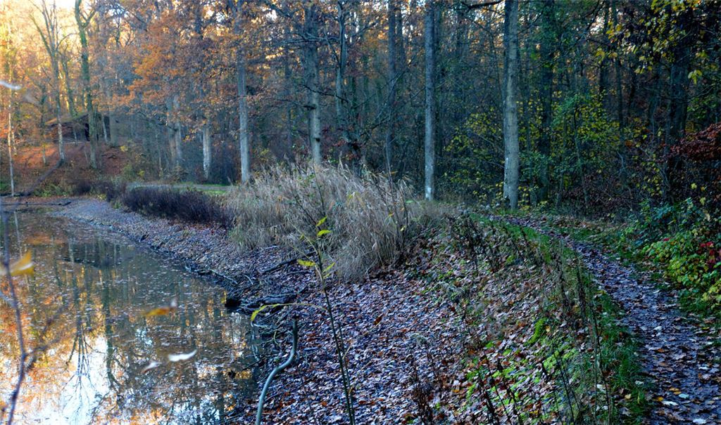 Die Sanierung der Dämme an den Klosterseen steht auf dem Prüfstand. Foto: Stahlfeld