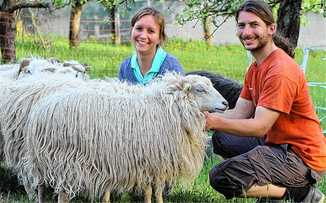 Hobbyschäfer suchen Verstärkung