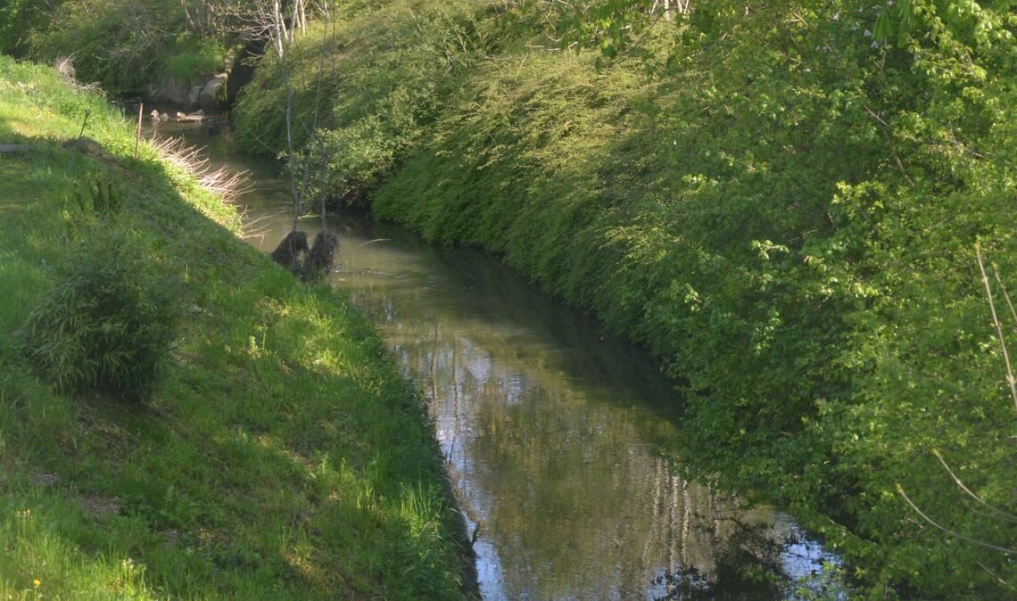 Die Schmie soll hier im Bereich von Bouleplatz und Altenheim St. Clara ausgeweitet und ökologisch aufgewertet werden. Unter anderem wird auch eine Mauer vor Hochwasser schützen. Foto: Stahlfeld
