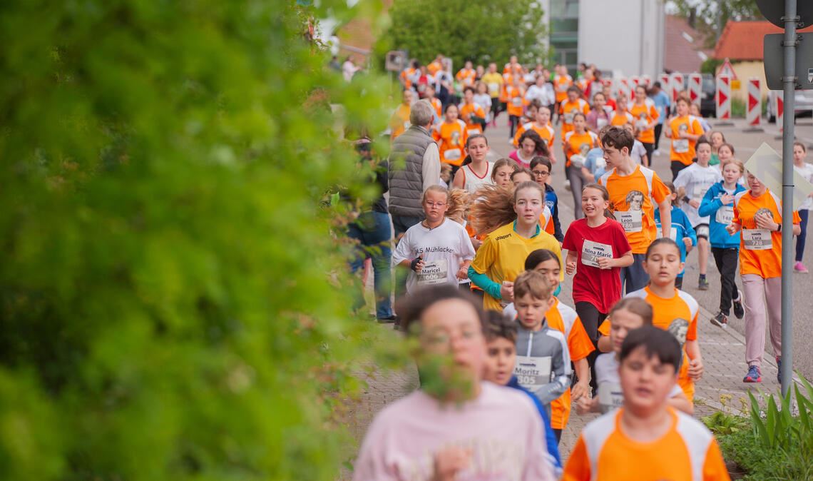 Die Schüler müssen den Berg zwei Mal hoch.