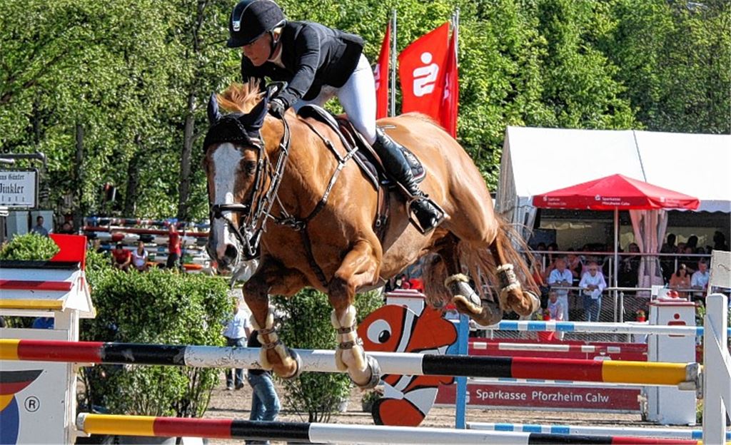 Die Schwedin Angelica Augustsson und ihre 13-jährige Fuchsstute Mic Mac du Tillard fliegen förmlich über den Parcours zum Sieg beim Großen Preis. Foto: Mummert