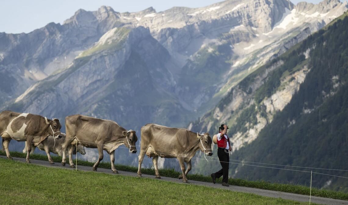 Die Schweiz pflegt ihr Heidiland-Image. (Archivbild)