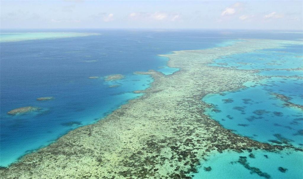 Die Seniorin war beim Landgang auf einer Insel im Great Barrier Reef versehentlich zurückgelassen worden und starb. (Archivbild)