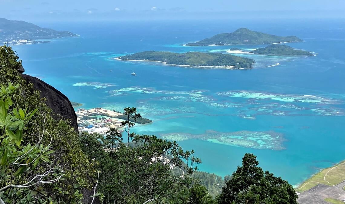 Die Seychellen sind bei Urlaubern für ihre weißen Sandstrände und Korallenriffe beliebt. (Archivbild)