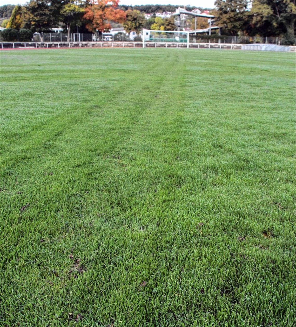 Senderstädter Seifenoper