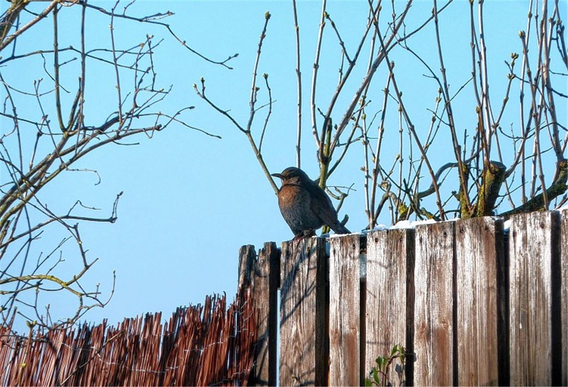 Winterbilder