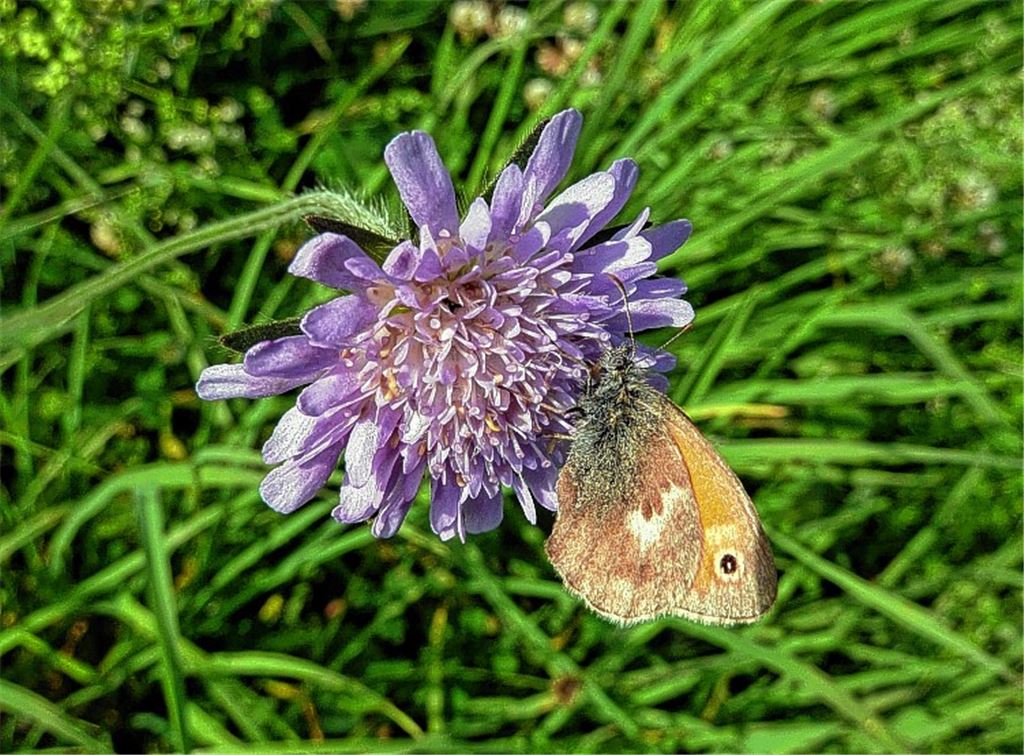 Sommerzeit